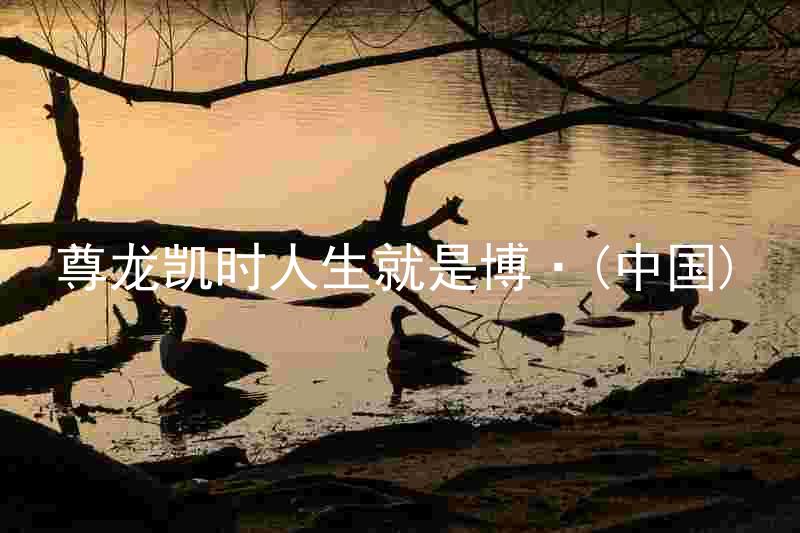 尊龙凯时人生就是博·(中国)