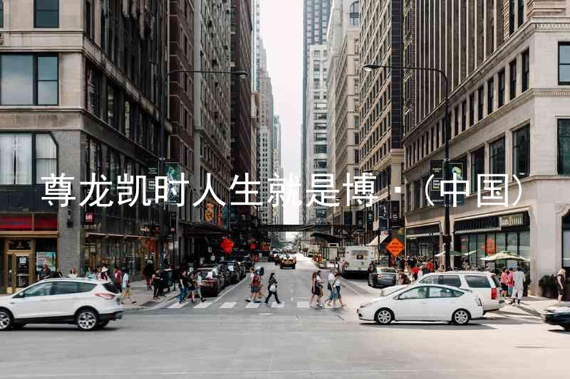 尊龙凯时人生就是博·(中国)